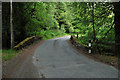 Bridge on the road to Ardanaiseig