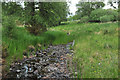 Small stream near Loch Awe