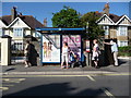 Babbacombe : Babbacombe Road & Bus Stop