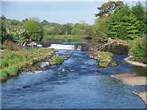W4955 : Weir on the river by Michael Dibb