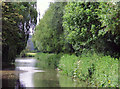 SK1903 : Canal near Fazeley, Staffordshire by Roger  D Kidd