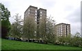 Towerblocks on the edge of Westow Park