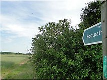 TM3275 : Footpath to Manor Farm by Adrian S Pye