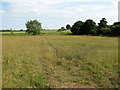 Public footpath south of Hill Farm, Cookley