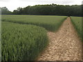 Footpath junction near Church Lane