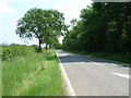 A1033 towards Patrington