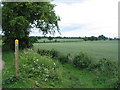 Permissive path and Hollis Lane