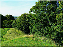 SP0201 : North across the edge of the Roman amphitheatre, Cirencester by Brian Robert Marshall
