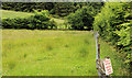 Field, Woodburn forest near Carrickfergus