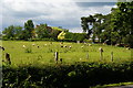 View Towards Shawlands, Newchapel, Surrey