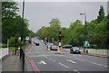 TQ2971 : Traffic lights, Tooting Bec Rd (A214) by N Chadwick
