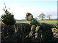 SK1842 : Wyaston Hedge Troll by Martyn Glover