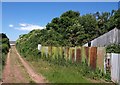 Corrugated iron by the path