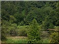 Large unnamed pond near Chilworth