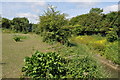 Stream running alongside the Gloucestershire Way