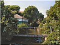 Cottage beside stream in Princes Park