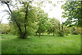 Trees, Wandsworth Common