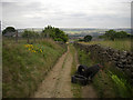 Rydings Lane, rural Rochdale