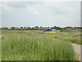 View of the Rainham Marshes Nature Reserve Information Centre