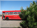 Bus and Fir Tree