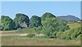 View across marshland towards Penhyddgan