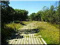 Walkway leading to SUDS pond