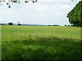 SP2420 : Oxfordshire farmland by Michael Dibb