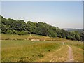 Wild Park looking East