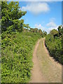 Bridleway between Boswarva and Madron