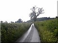 SO2091 : Country lane between Sarn and Llancowrid by Oliver Dixon