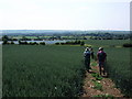 Footpath to Brookhampton