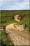 NY4589 : A moorland track to the east of Cooms Fell by Walter Baxter