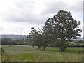 Anglo-Welsh Border at Little Rhiston