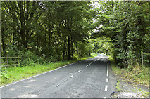 TQ0553 : Ripley Road, West Clandon (1) by MrC