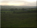 Grazing land towards Newsham