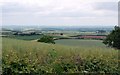 NT8936 : Flodden Battlefield from the east side of Branxton Hill by Andrew Curtis