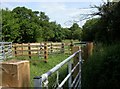 Purewell Meadows, stock pen