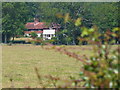 Field near Dunsfold