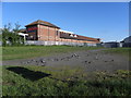 Tescos from the River Bann at Portadown