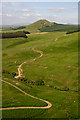 A farm track on the north side of Knock Hills and Hophills Nob