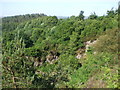 Disused quarry, Caerphilly Common