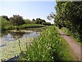 Newport Canal