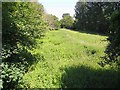 Disused canal at Meretown