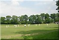 SE1334 : Great Horton Church Cricket Club - Match in progress! - The Boundary by Betty Longbottom
