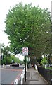 Speed limit sign, College Rd