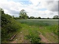 Countryside near Maghaberry