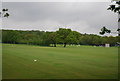 Playing cricket, Dulwich Common Sports Ground