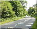 White triangles painted on road surface, Parkend