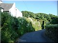 Bend in the lane, Ringmore