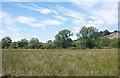 Marshland near Pont Garreg-fach